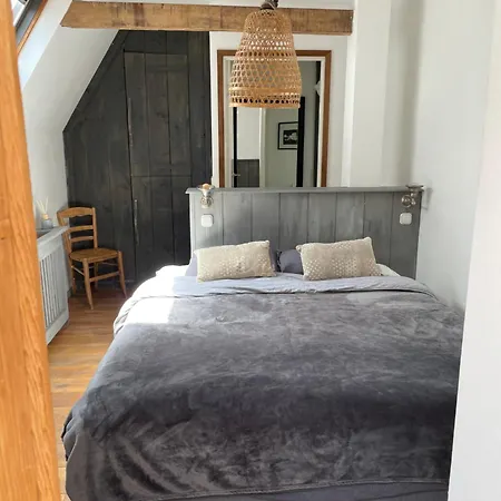 Pothuis Zuid 잔드보르트