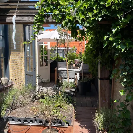 Tatil Evi Pothuis Zuid