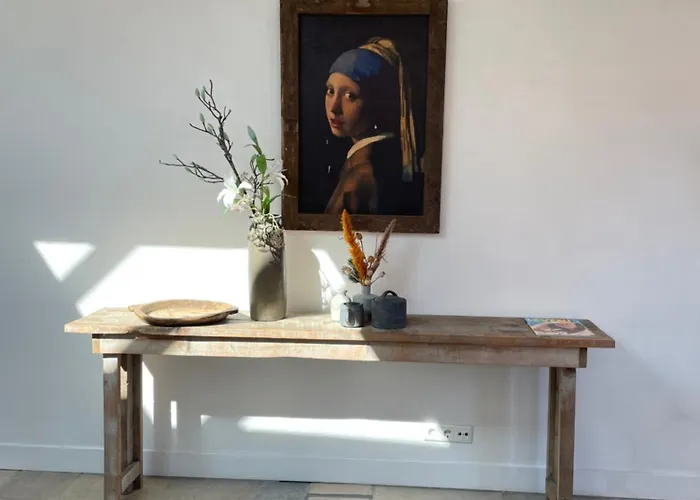 Pothuis Zuid Hébergement de vacances