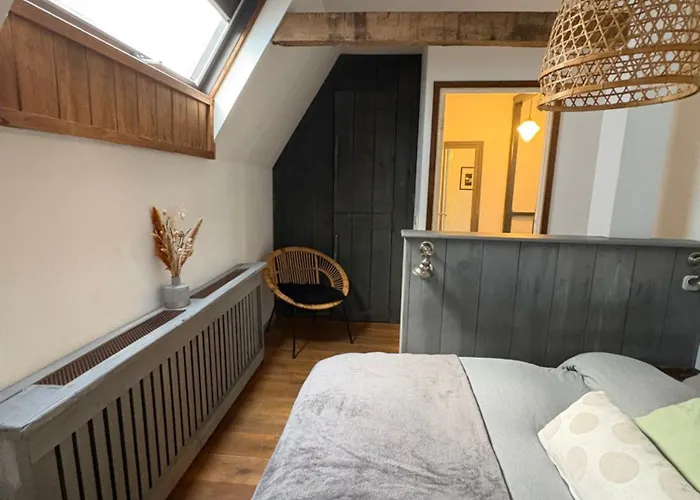 Ferienhaus Pothuis Zuid *