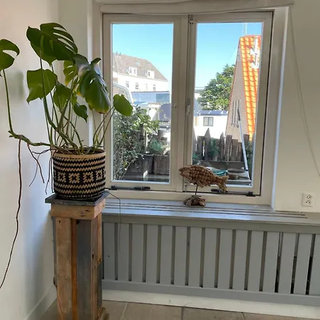 Pothuis Zuid Ferienhaus *